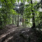Luxusní posed: Dům, kterému prorůstá strom ložnicí Zdroj: Soeren Larsen