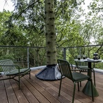 Luxusní posed: Dům, kterému prorůstá strom ložnicí Zdroj: Soeren Larsen
