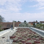 Zahrada z cihel pro cihlový dům. Moderní architektura v jihomoravské vesničce Zdroj: BoysPlayNice