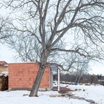 Dřevostavbu obložili cihlou. Maličký domek vypadá jako věčně rozestavěný, vládne mu surovost materiálů Foto: Todor Todorov