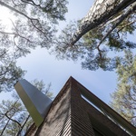 Dům vsazený mezi stromy připomíná loď na mělčině. Vyhrál litevskou cenu za architekturu Foto: Leonas Garbačauskas