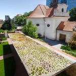 Extenzivní vegetační střecha přístřešku. Foto: Karel Šuster. Zdroj: MŽP ČR, Metodická příručka  pro architektonicky a historicky cenné budovy