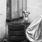 3. místo kategorie Detail: Čekání: Městský surrealismus na dvorku sochařského atelieru Jana Laudy. Co je odložené a co připravené? Co zůstalo a co jsme ztratili? /Fotka je inspirovaná geniem loci místa, které s laskavostí a otevřeností spojuje tradici a současnost./. Autorka Lenka Frišová