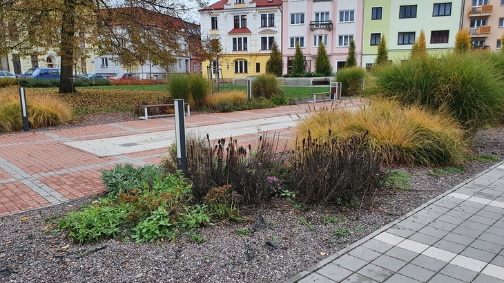 Ilustrační obrázek, Trutnov. Foto D. Kopačková, redakce
