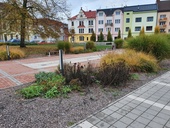 Ilustrační obrázek, Trutnov. Foto D. Kopačková, redakce