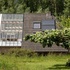 Foto: Tim Van De Velde