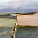 Varianta pietního biocentra jako mozaika biotopů krajinného pohřebiště v české agrikulturní krajině, členící velké polní monokultury. (Archiv Blanky Solár) Varianta pietního biocentra jako mozaika biotopů krajinného pohřebiště v české agrikulturní krajině, členící velké polní monokultury. (Archiv Blanky Solár)