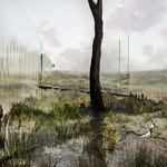 Pietní biocentrum jako místo cyklické proměny (Archiv Blanky Solár) Pietní biocentrum jako místo cyklické proměny (Archiv Blanky Solár)