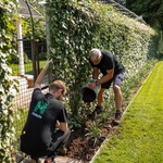 Zelené oplocení za jeden den? AS-GREEN FENCE – okamžité řešení živého plotu. Zdroj: ASIO