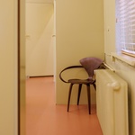 Na zahradě dávají lišky dobrou noc, v přestavěné městské kočárovně už ale kopyta neklapou. Foto: Frank Sperling