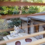 Na zahradě dávají lišky dobrou noc, v přestavěné městské kočárovně už ale kopyta neklapou. Foto: Frank Sperling