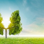 Zdroj: Zehnder Group AG