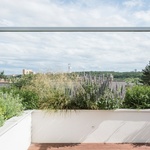 Pohled z terasy. Foto: Martin Čeněk