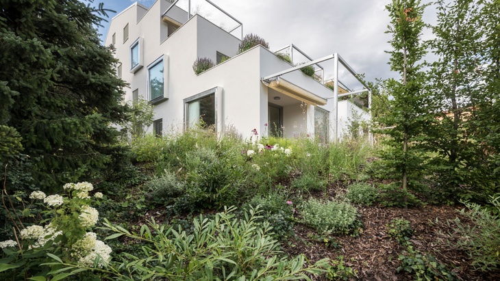 Foto: Martin Čeněk