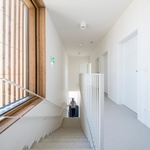 Komunikace do patra. Foto: Pavel Barták Komunikace do patra. Foto: Pavel Barták