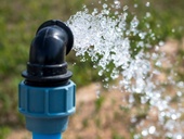 Zdroj: Adobestock – sir270