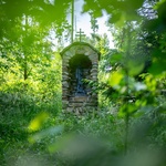 Kategorie krajina, Les Velká Bíteš. Zdroj: Adapterra Awards 2025