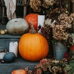 Zdroj: www.shutterstock.com