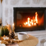 Zdroj: www.shutterstock.com