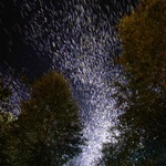 &bdquo;Spark&ldquo; v angličtině znamená jiskra. A tyhle jiskry, s nimiž prorazili do světa nizozemští experimentátoři v čele s Daanem Roosegaardem nikoho nepálí. Jsou stejně tak nádherné, jako rej světlušek. Jen umí být mnohem barevnější. Foto: Daan Roosegaarde