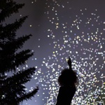 A zrovna zvířata, ta naše domácí i ta volně žijící, mají zpravidla mnohem citlivější sluch. To, co nám přijde jako hlasitá rána, je pro ně rána ohlušující. Mnohem intenzivnější, bolestivější. My z podívané na ohňostroj neohluchneme, ale ony mohou. Foto: Daan Roosegaarde