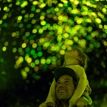 Ohňostroj je jeden velký chaos, který zvířata nechápou.  Vyděšená zvířata často prchají, opouštějí svá teritoria a úkryty, vbíhají pod auta. Vyplašení ptáci často narážejí do budov, drátů elektrického vedení. Za ohňostrojů utíkají jako o život. Foto: Daan Roosegaarde