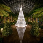 Vánoční stromek, který v zimních zahradách narostl do krásy. Zdroj: Studio Roso