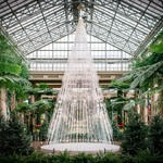 Vánoční stromek, který v zimních zahradách narostl do krásy. Zdroj: Studio Roso