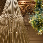 Vánoční stromek, který v zimních zahradách narostl do krásy. Zdroj: Studio Roso