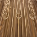 Vánoční stromek, který v zimních zahradách narostl do krásy. Zdroj: Studio Roso