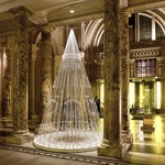 Vánoční stromek, který v zimních zahradách narostl do krásy. Zdroj: Studio Roso