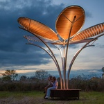 Květy na sněhu? Pohádkovou představu změnili v realitu. Vypadají kouzelně a přináší radost. Zdroj: TILT