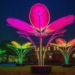 Květy na sněhu? Pohádkovou představu změnili v realitu. Vypadají kouzelně a přináší radost. Zdroj: TILT