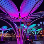 Květy na sněhu? Pohádkovou představu změnili v realitu. Vypadají kouzelně a přináší radost. Zdroj: TILT