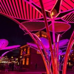 Květy na sněhu? Pohádkovou představu změnili v realitu. Vypadají kouzelně a přináší radost. Zdroj: TILT