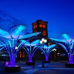 Květy na sněhu? Pohádkovou představu změnili v realitu. Vypadají kouzelně a přináší radost. Zdroj: TILT