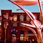 Květy na sněhu? Pohádkovou představu změnili v realitu. Vypadají kouzelně a přináší radost. Zdroj: TILT