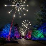 V Kew oslovují veřejnost světelnými instalacemi už do roku 2013. A postupně k těm tradičním prvkům přidávají nové. Zima je dost možná netradiční dobou k návštěvě zahrad, ale to tady neplatí. Foto: Ines Stuart-Davidson