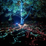 Novinkou bude také Mycelium Network, která osvětlí zem jemnými stojany z optických vláken, představujícími propojenost houbových vláken, jež hrají zásadní roli v ekosystémech po celé planetě. Foto: Jeff Eden