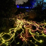 Světelné vlášení mycelií odráží probíhající vědecký výzkum zahrady Kew, zaměřený na miliony druhů hub, které jsou základem veškerého života na Zemi. Foto: Jeff Eden