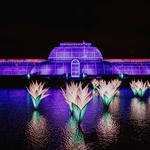 K vidění by tu kromě patnácti stálých prvků každoroční světelné výstavy mělo být i osm premiér, instalací, které prý ještě svět neviděl. Foto: Luke Dyson