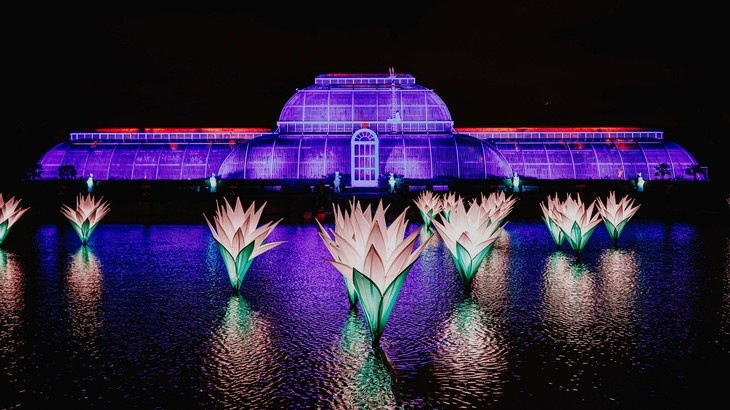 K vidění by tu kromě patnácti stálých prvků každoroční světelné výstavy mělo být i&nbsp;osm premiér, instalací, které prý ještě svět neviděl. Foto: Luke Dyson