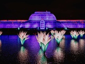 K vidění by tu kromě patnácti stálých prvků každoroční světelné výstavy mělo být i&nbsp;osm premiér, instalací, které prý ještě svět neviděl. Foto: Luke Dyson