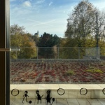 Pohled do okolí. Foto: Ondřej Tylčer