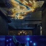 Pohled přes sklo. Foto: Bet Orten