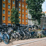 Foto: Pexels Foto: Pexels