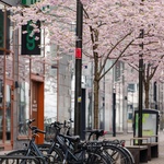 Foto: Pexels Foto: Pexels