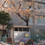 Foto: Pexels Foto: Pexels