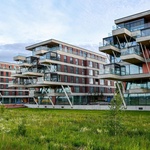 Foto: Pexels Foto: Pexels