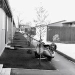 Dům pod topoly ukazuje slovinský model bydlení, které mohlo konkurovat panelákům. Zdroj: OFIS